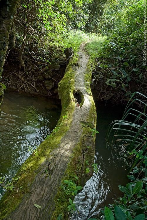 oceanweavee's tweet photo. Escape to nature https://t.co/4ymgVxB9Aa