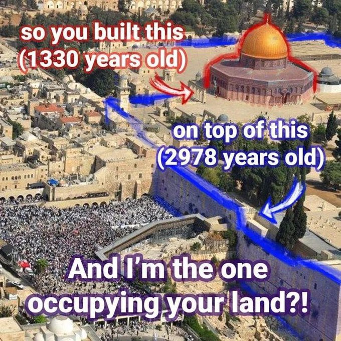 ASD_zvi's tweet photo. ראיתי את התמונה הזאתי והייתי חייב לעתיק אותה לזכר תעשה-באב.

אין משהו יותר הזוי מאשר לדעת שיש מוסלמים על הר-הבית שמנופפים את דגלי שקר של עם מומצא.

ב"ה, בשנים הקרובות, תשעה באב יהיה יום של שמחה וניצחון https://t.co/EXtd6642by