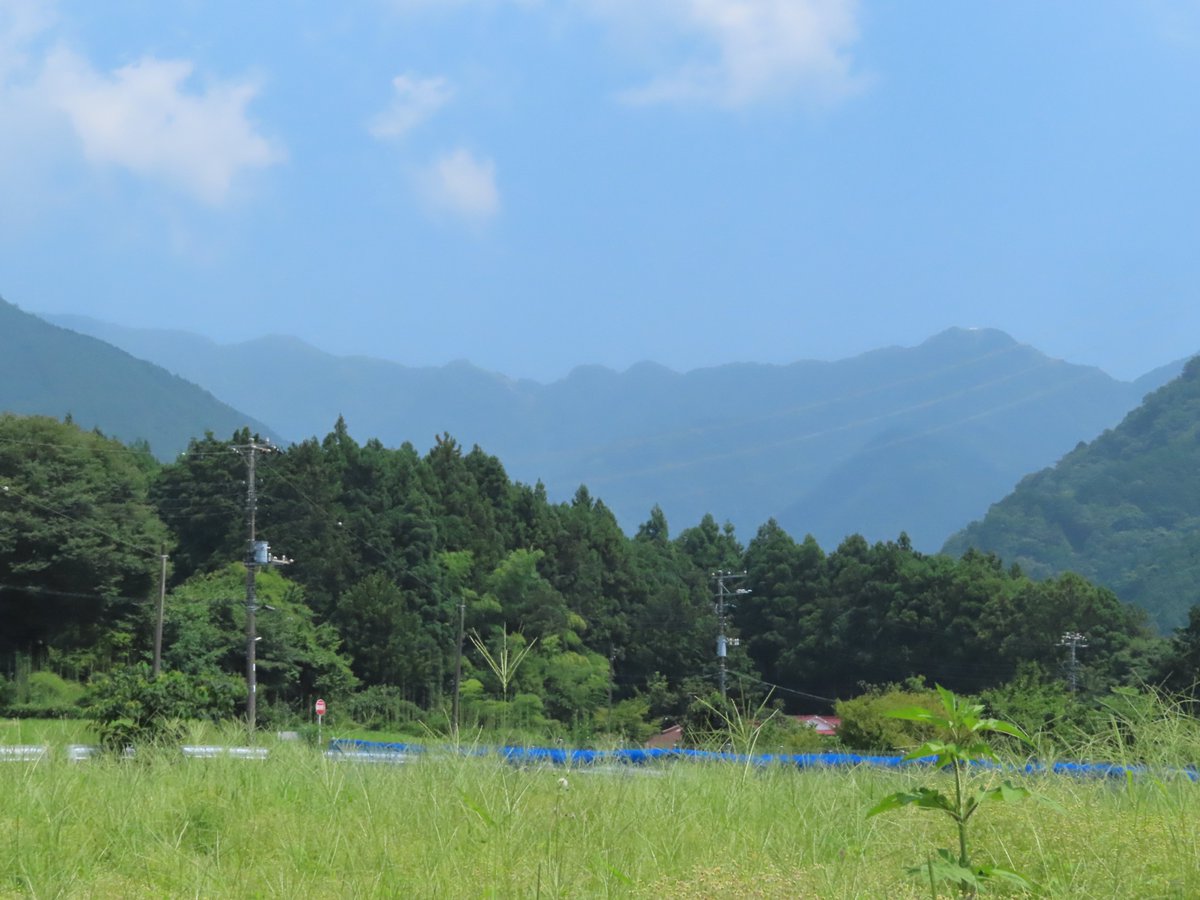 HadanoVC's tweet photo. 8時40分の気温31.4度　晴れ
連日猛暑が続いています。丹沢の山々も厳しい暑さに汗をかいているかのように霞んでみえました。鍋割山の登山口の様子を確認するため #西山林道 まで歩いてきました。詳しくはブログに掲載しましたのでご覧ください。
https://t.co/HUcRlA9rhG
#鍋割山登山口　#ハンミョウ https://t.co/GU6DQcnyJH