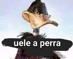 holaamige's tweet photo. perra bastarda la que no me felicito en mi cumpleaños cuando yo si lo hice MALDITA https://t.co/mUQnEtcIcE