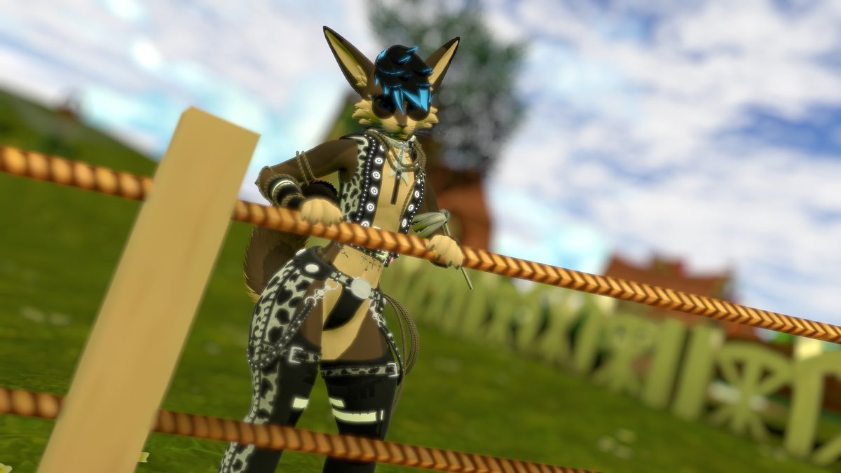 FloppyCoyote's tweet photo. Well, Howdy there partner https://t.co/GjYvUvdDLo