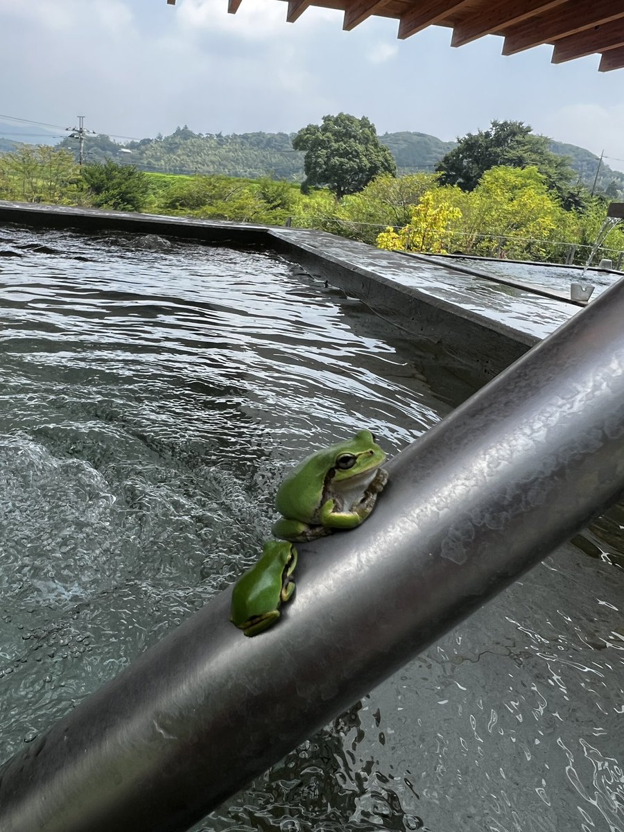 _____apisto's tweet photo. 平日の昼間からのサウナ。 https://t.co/qUEVhiz4Rv
