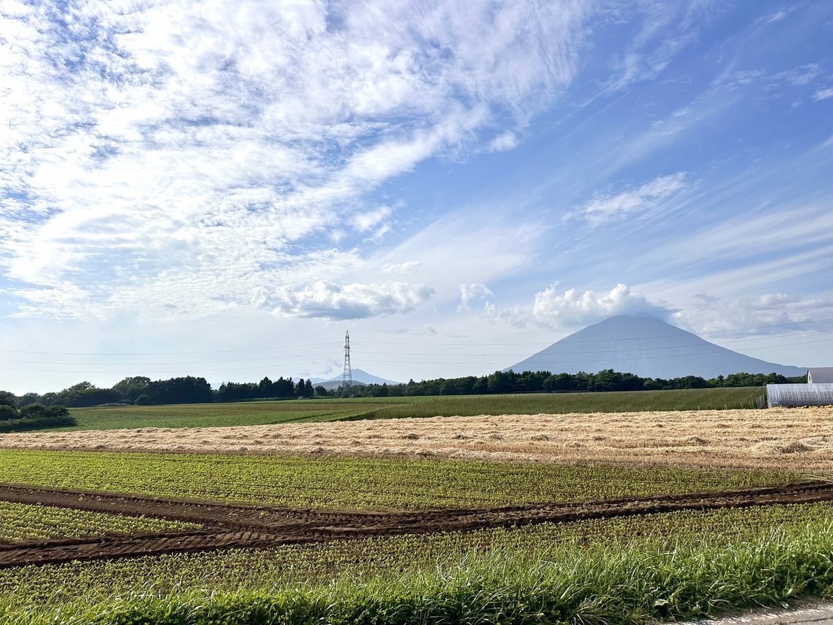 rusutsukanko's tweet photo. 至るところで麦の刈り入れが始まりました♪

#羊蹄山
#麦穂 https://t.co/mVyv8acf0D