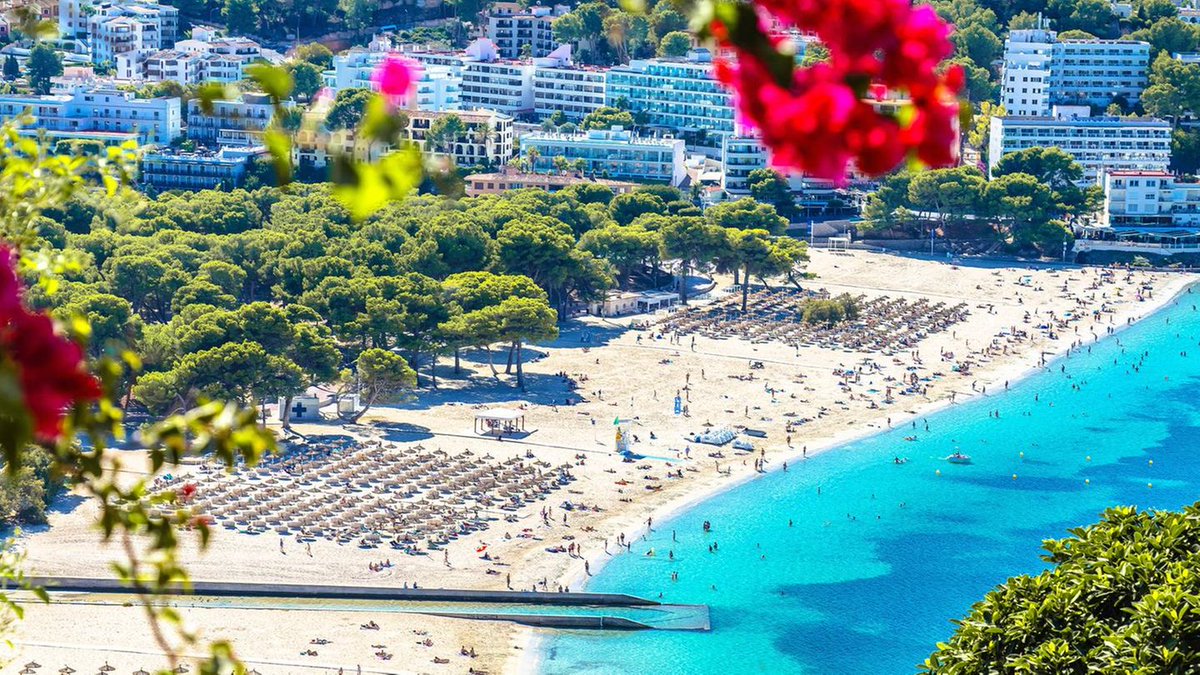 okaythenfuture's tweet photo. Life is simple,

Make money from Americans.

Live in Asia.

Vacation in Europe. https://t.co/63OQmp35be