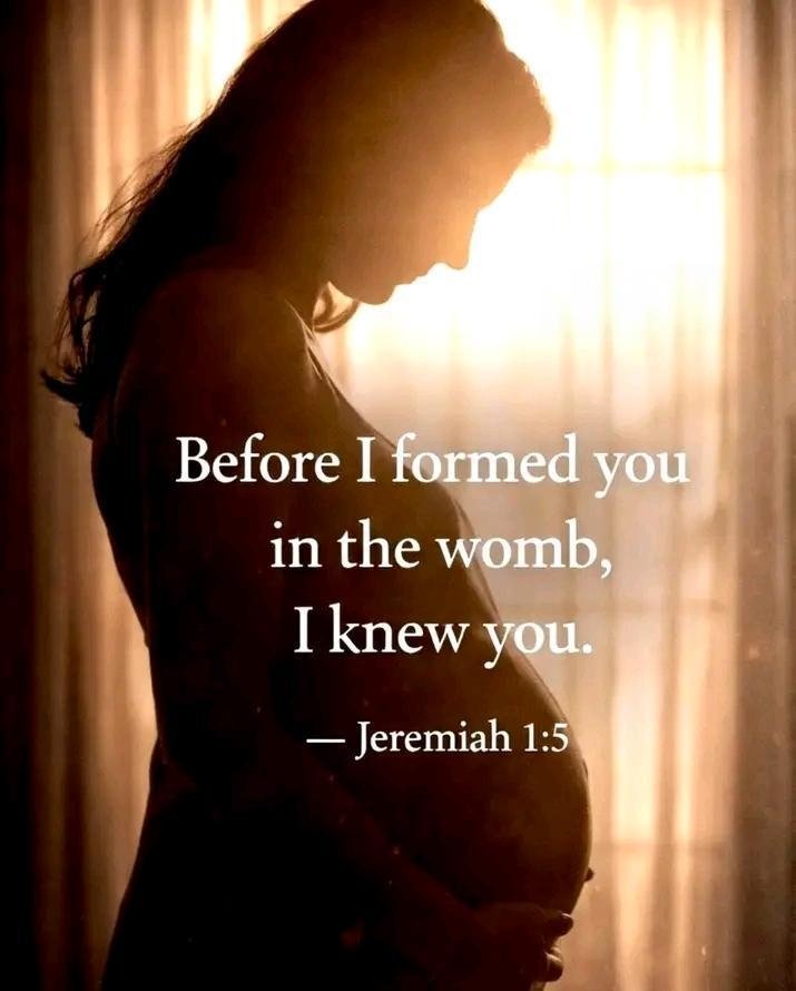 altinekasre1's tweet photo. “Before I formed you in the womb, I knew you.”

Jeremiah 1:5 https://t.co/ViXl1vFHv4