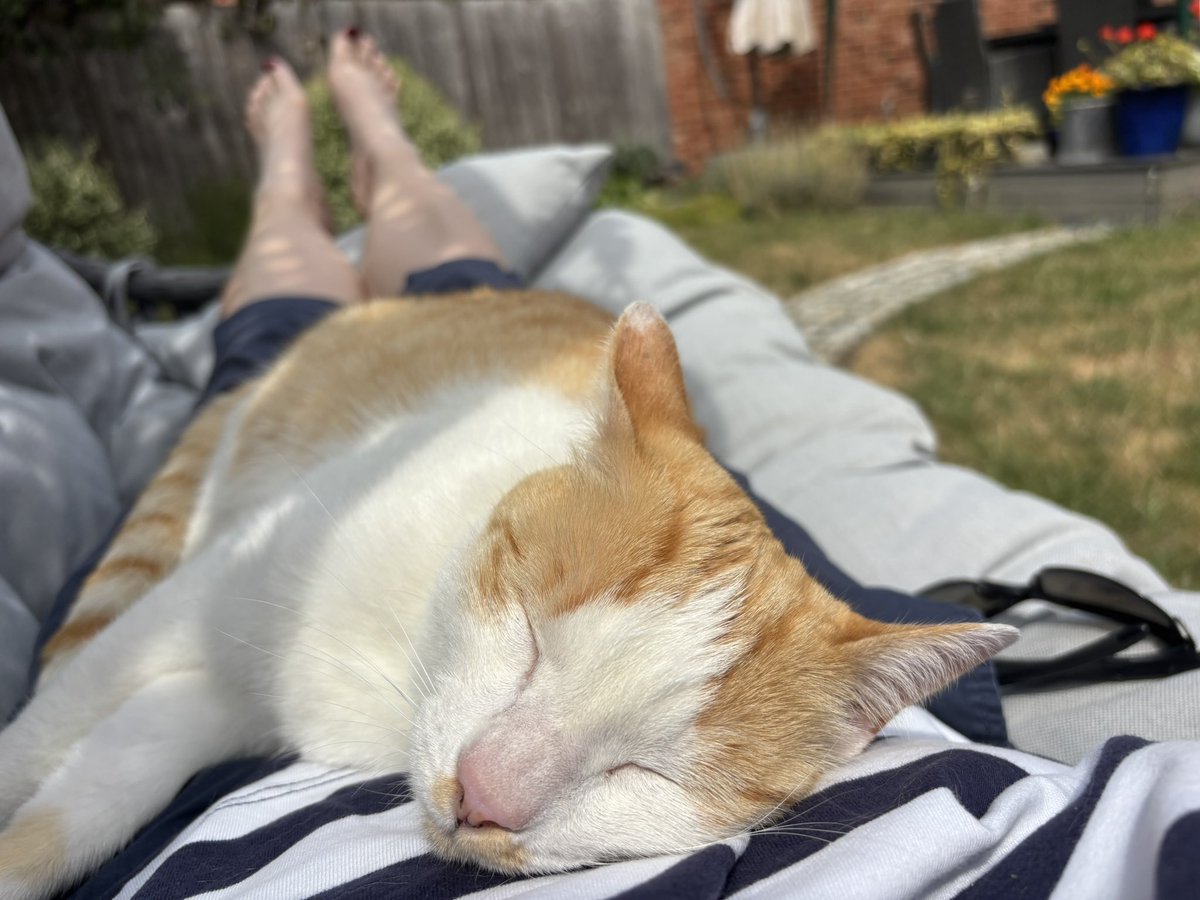ChutneyAndMango's tweet photo. My slave retired so she could do more of this 😴 🌞 🪴 https://t.co/DY7Im8DESI