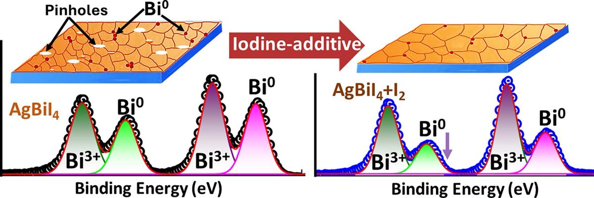 NIMSPVteam's tweet photo. Our work on Iodine-assisted defect control in AgBiI4 for boosting lead-free photovoltaics.🌞🔬
Congratulations to  Fatima for her fruitful work during the ICGP program (NIMS-IIT, BHU)! 👏
@NIMS_PR @nims_icys
https://t.co/rsAyHz52qG
#LeadFree #Photovoltaics #MaterialsScience #NIMS https://t.co/zV2hhuuLKy