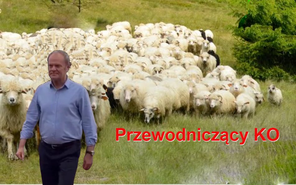 JanDyrcz's tweet photo. @ArturoGavito ARTUREK A TY DEBILU NAPOIŁ DZIŚ KONIA??? 🤣🤣🤣 A KTO WIDZIAŁ DRUGI KOŃ 🤣🤣 https://t.co/hlI9LbeYde