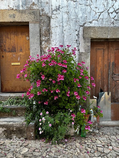 Camelia Courchine tweet media