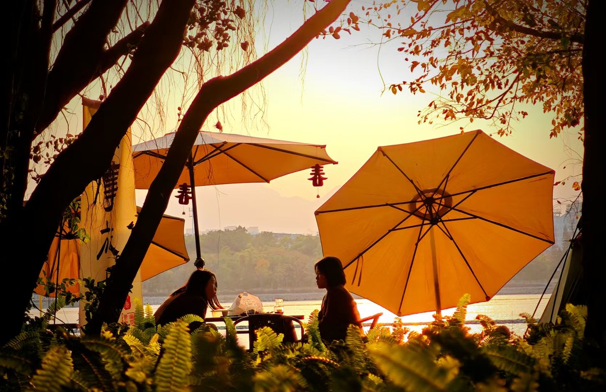 AdeliaDajer's tweet photo. New to photography Start with mastering natural light—shoot golden hour for warm vibes, avoid harsh midday sun for flatter tones. Small basics make big shots! https://t.co/gYmg3Ize19