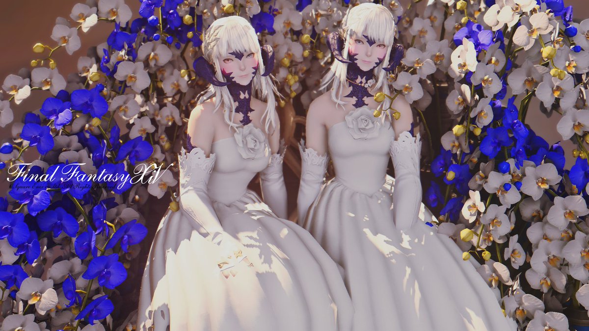 chibimw8x's tweet photo. 安定のるとまるとSS～！

#Su_Studio https://t.co/sPyUtT8Moq