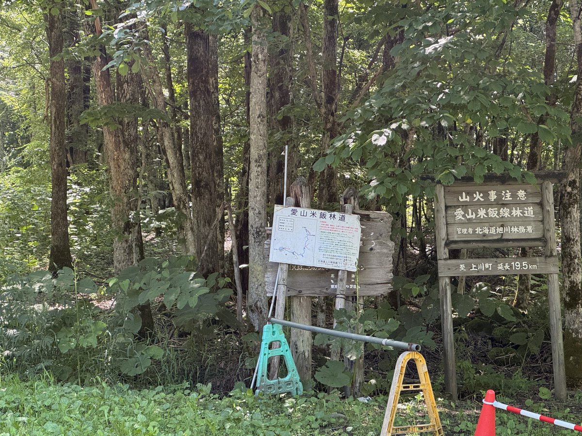うさぎ＊まよ tweet media