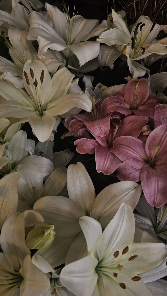 flowersplanettt's tweet photo. https://t.co/Buye6DYpCM