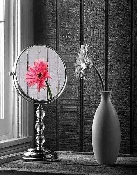 N0x9u's tweet photo. ؛؛

حيرة السراب ..
عندما ..
يصر العقل ..
على معرفة الإجابة ..
يختلق القلب ..
كل عذر واسبابه ..
وعندما القلب ..
يعلن رواء الإجابة ..
يتسيد الكبرياء وسطر الريادة ..

                      #نبض_الوجد 

؛؛ https://t.co/xG9seOe4h3