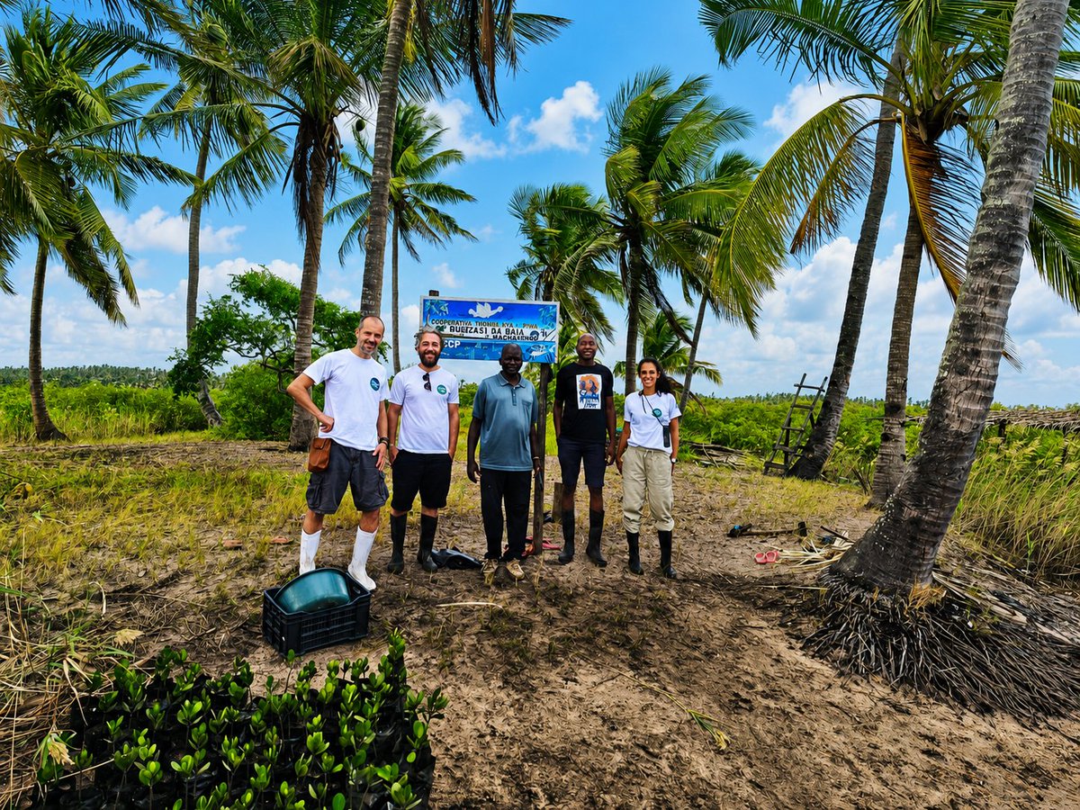 AzadaVerde's tweet photo. Este verano queremos dar las gracias a todas las personas que camináis junto a Azada Verde.

Vuestro apoyo hace posible seguir cultivando oportunidades y protegiendo ecosistemas junto a las comunidades de Mozambique🌱💚

¡Feliz verano!🌞 https://t.co/VjEEEhRdAC