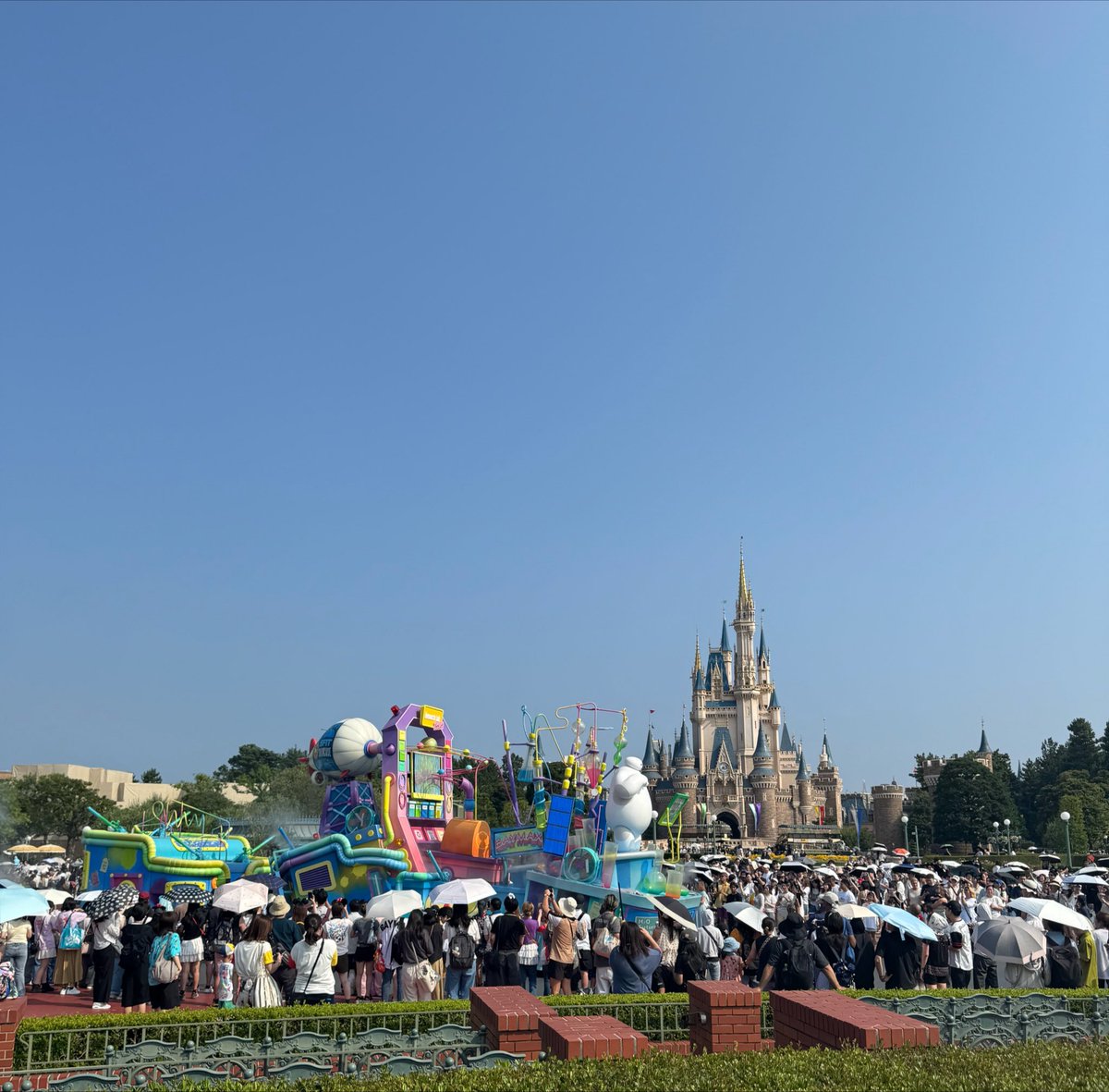 tmcl_tmcl's tweet photo. 急遽遊びに来てるよ！暑いよ！！ https://t.co/dhZ5k9KrQ8