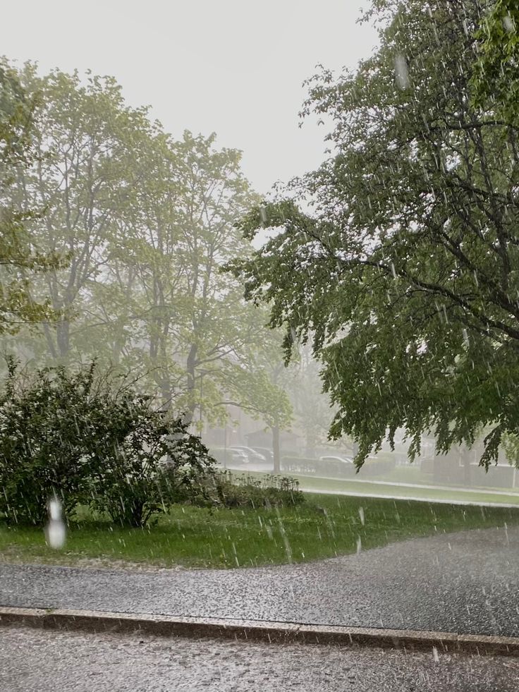 natureegloomy's tweet photo. smell of rain https://t.co/JHFWUFxK8g
