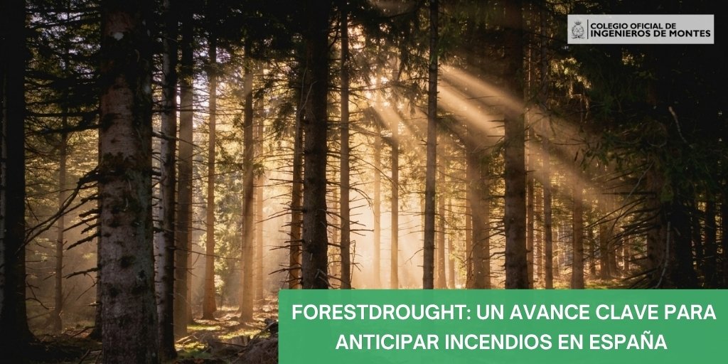 ingdemontes's tweet photo. 🔥🌿ForestDrought: un avance clave para anticipar incendios en #España.

ℹ️ Más info 👇🏻
https://t.co/SCm4RPICEM https://t.co/Rr4jWR94TF