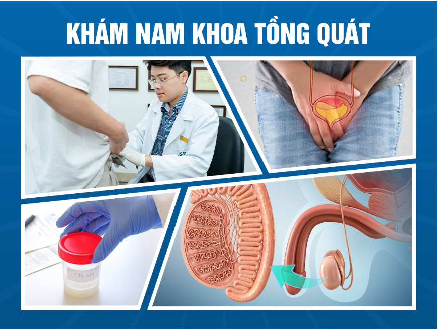 MegaMedvn's tweet photo. Địa chỉ: 354 Đ. Trường Chinh, Khương Thượng, Đống Đa, Hà Nội 10000, Việt Nam
Điện thoại:  0987869115
Website: https://t.co/zXMwgseJYM
Email: Megamed354.1@gmail.com
Chỉ đường: https://t.co/2P1wwV8iSm
#Phongkhamnamkhoa #Khamnamkhoa #Phongkhamnamkhoauytin #Khamphukhoanam https://t.co/2lBKAIqnIk