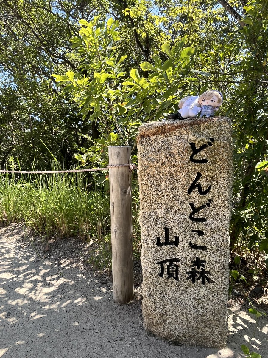maro_chii's tweet photo. ジブリパーク🌳
暑かったけど青空がすごく綺麗で、木陰は涼しくて風も気持ちよかった🍃 https://t.co/RMpbCpE62t