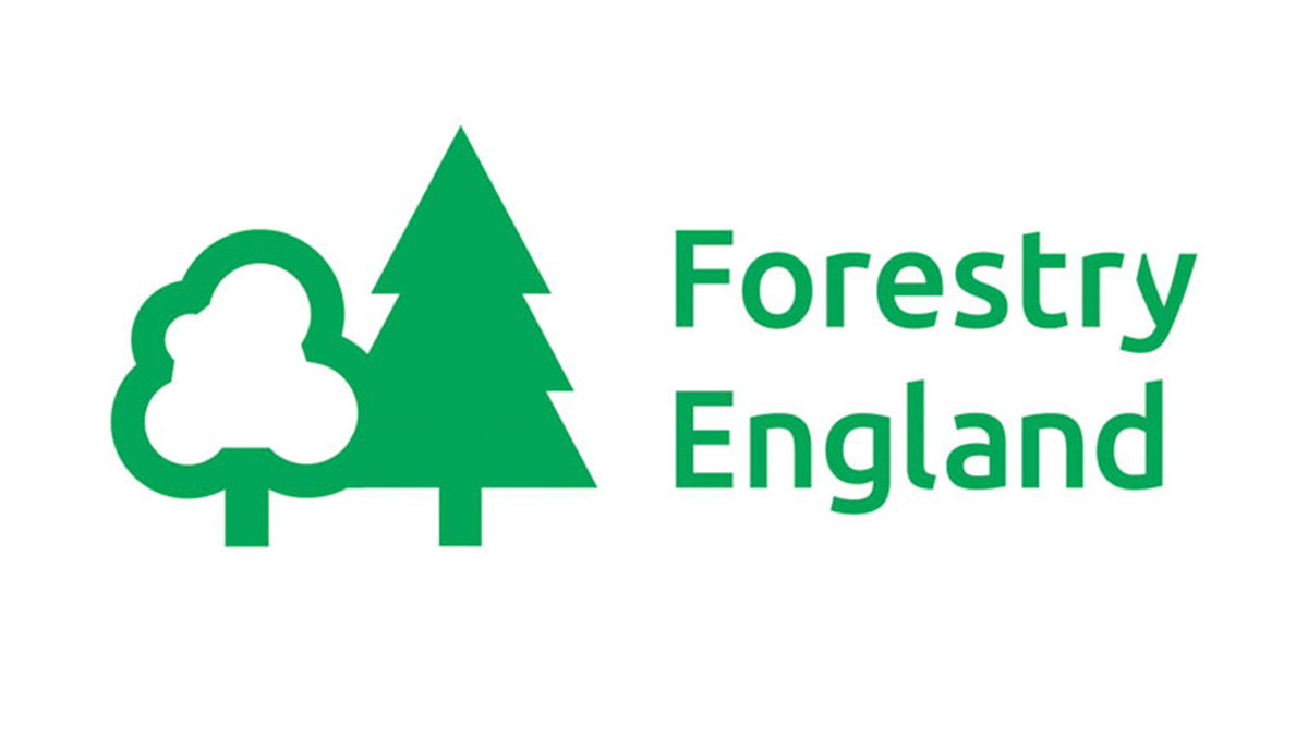 JCPinNTW's tweet photo. Looking for a role combining finance, administration and purpose?

Join Forestry England as a Finance Support Officer in Hexham, supporting projects benefiting people, wildlife, and the environment. 🌍 

See: https://t.co/ZUXLN4OjL3

 #NorthumberlandJobs #FinanceJobs #AdminJobs https://t.co/v2Xkbo8IFj