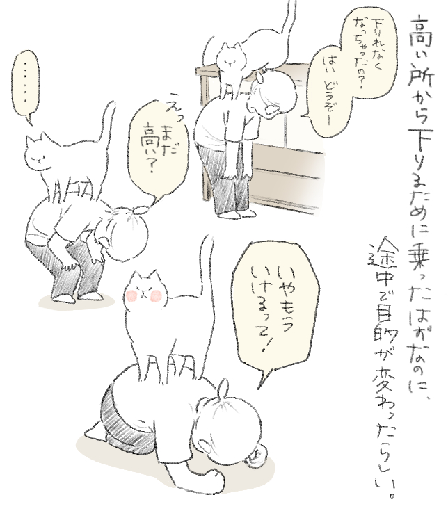 neginosiroitoko's tweet photo. 猫あるある？ https://t.co/5g6kznJXUY