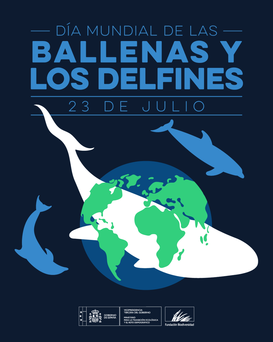 FBiodiversidad's tweet photo. El #DíaMundialdelasBallenasylosDelfines recordamos por qué son esenciales para el océano:

🐟 Regulan poblaciones marinas
🌊 Mantienen el equilibrio de los ecosistemas
💨 Contribuyen a la captura de CO₂
💙 Indican la salud del océano

Protegerlas es proteger la vida marina 🐋🐬 https://t.co/byoHc7ij6M