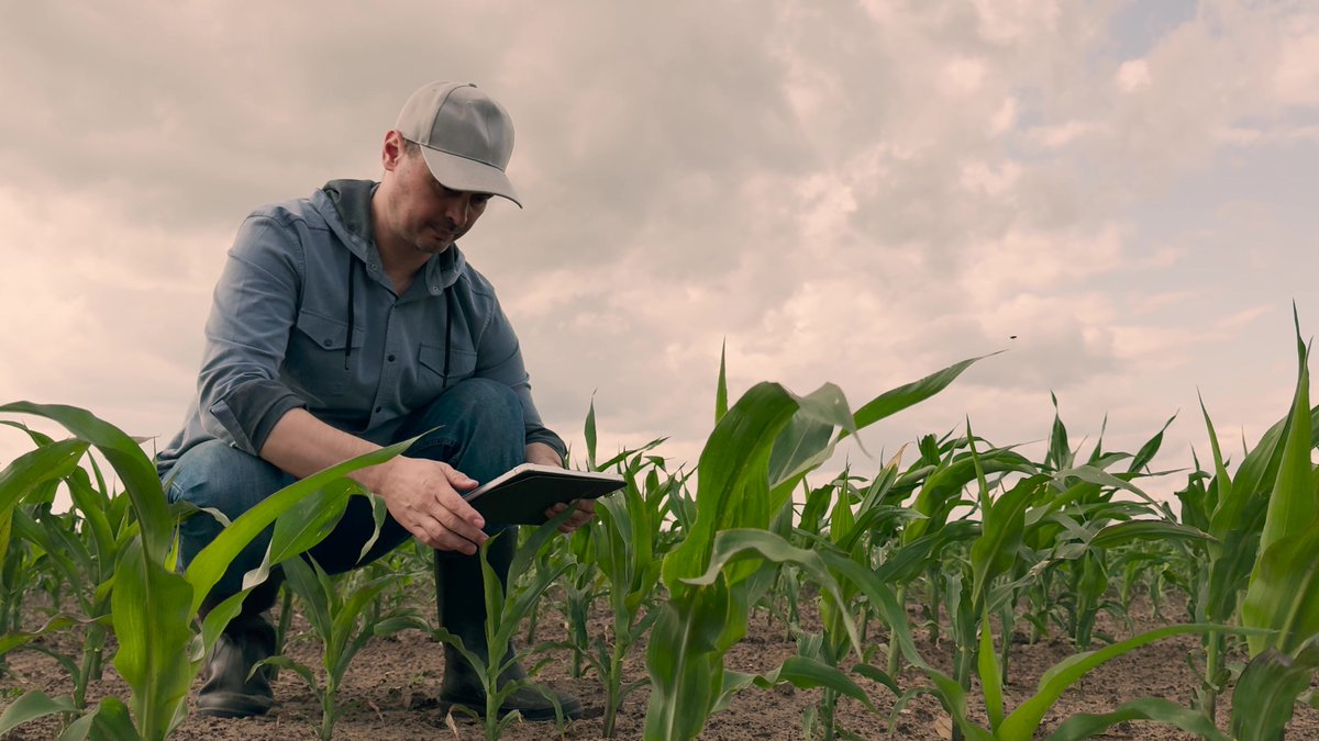 SeedWorldEU's tweet photo. Low-input farming does not mean low ambition. For seed companies, nutrient-use efficiency, durable resistance &amp; system performance are becoming strategic priorities.