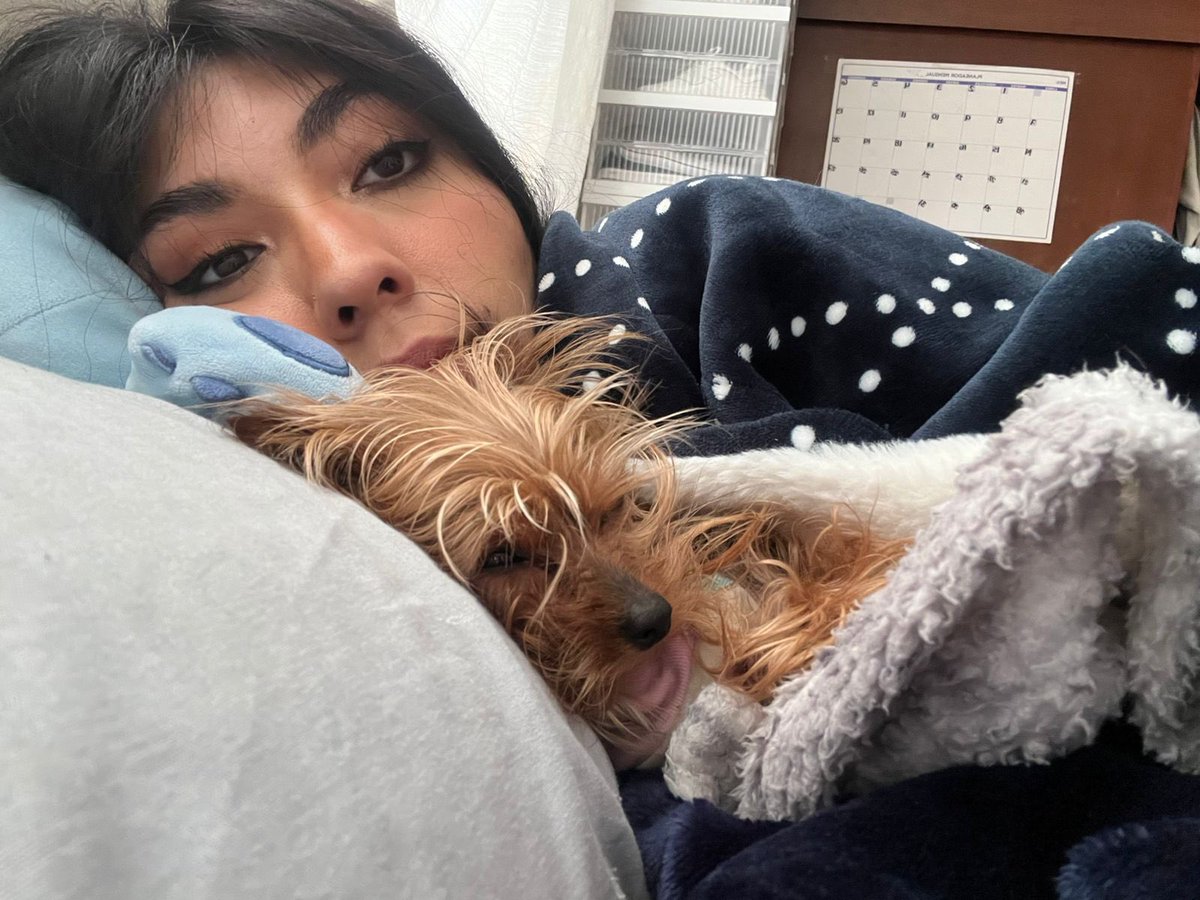 RebeCampa's tweet photo. Me encanta mi Brunita porque cuando me acuesto, ella siempre me busca para abrazarla o solo para dormirse muy cerquita de mi. 🥰 https://t.co/8FcUQYEGz3