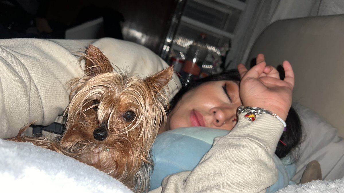 RebeCampa's tweet photo. Me encanta mi Brunita porque cuando me acuesto, ella siempre me busca para abrazarla o solo para dormirse muy cerquita de mi. 🥰 https://t.co/8FcUQYEGz3