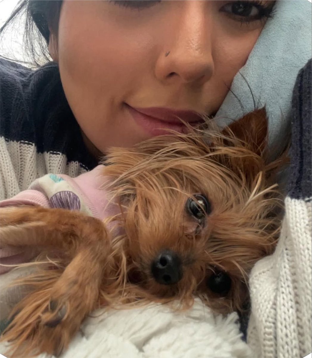 RebeCampa's tweet photo. Me encanta mi Brunita porque cuando me acuesto, ella siempre me busca para abrazarla o solo para dormirse muy cerquita de mi. 🥰 https://t.co/8FcUQYEGz3