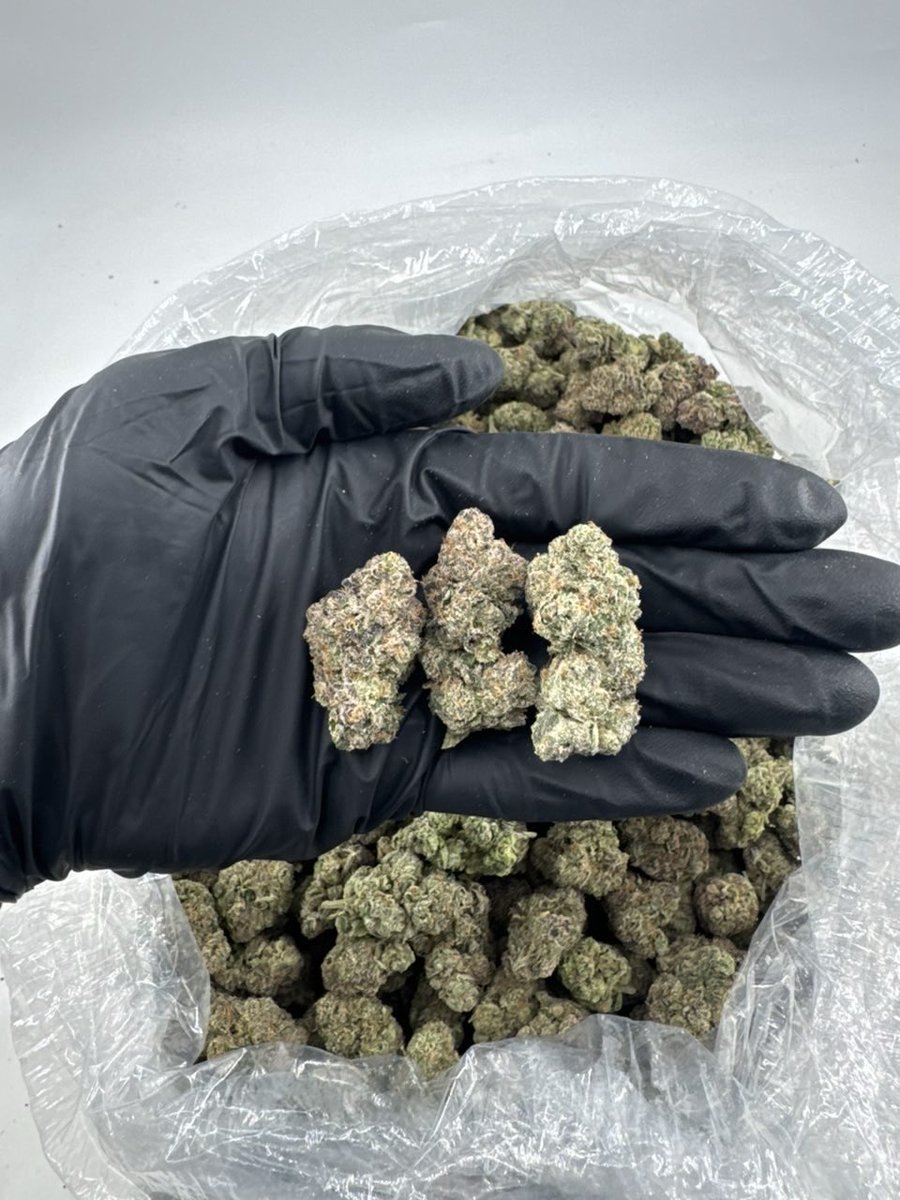 TheHighestah's tweet photo. Crescendo
1lb+$1100
3lb+$1050
5lb+$1000
10lb+$925 https://t.co/kUDlEJLKP6