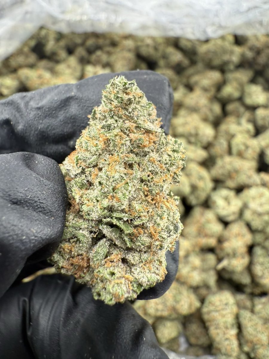 TheHighestah's tweet photo. Honey creme
1lb+$900
3lb+$850
5lb+$800
10lb+$750 https://t.co/ARpTuUBW8A
