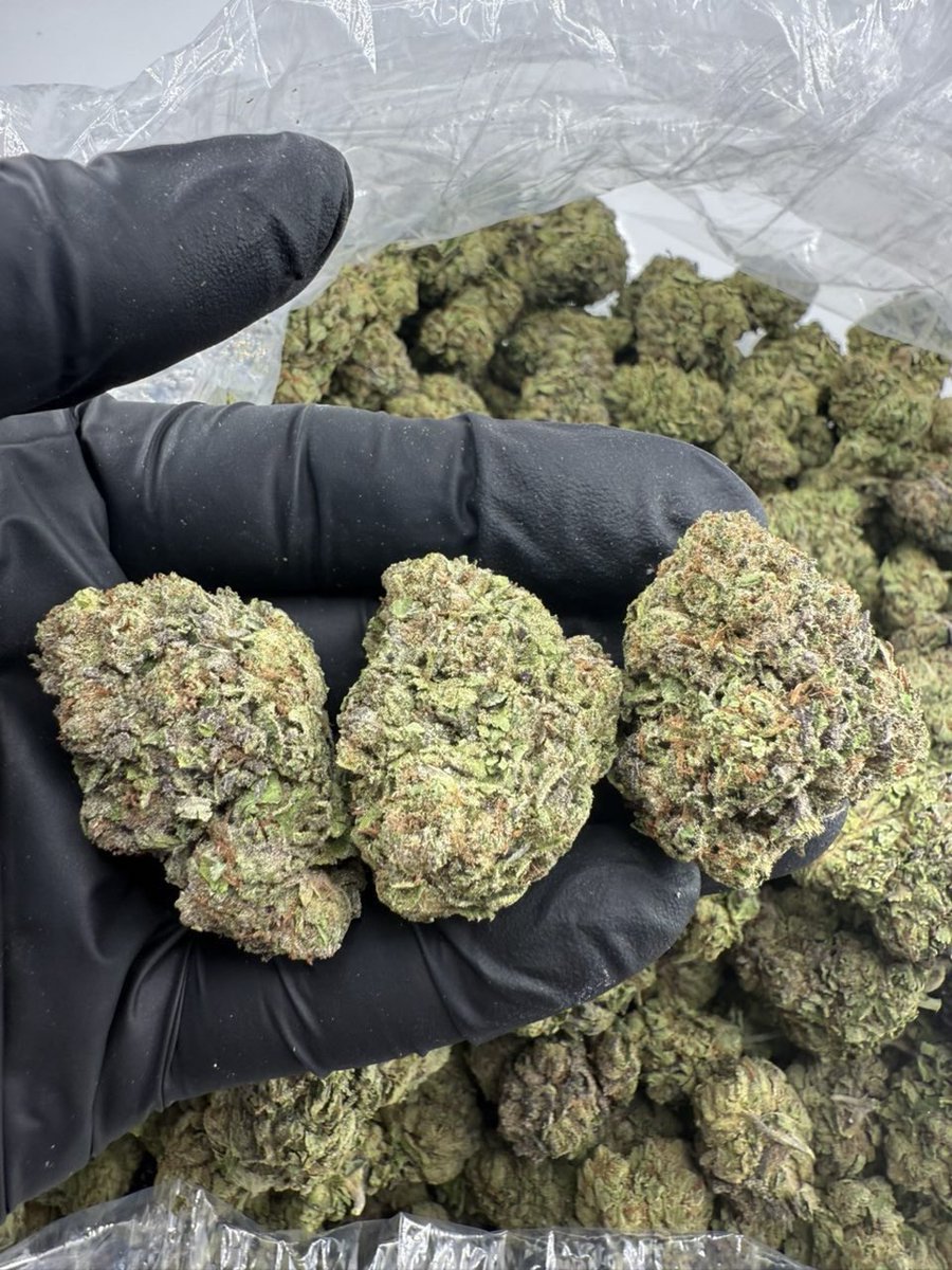 TheHighestah's tweet photo. GMO cookies 
1lb+$825
3lb+$775
5lb+$725
10lb+$675 https://t.co/LS6dF4gmEt