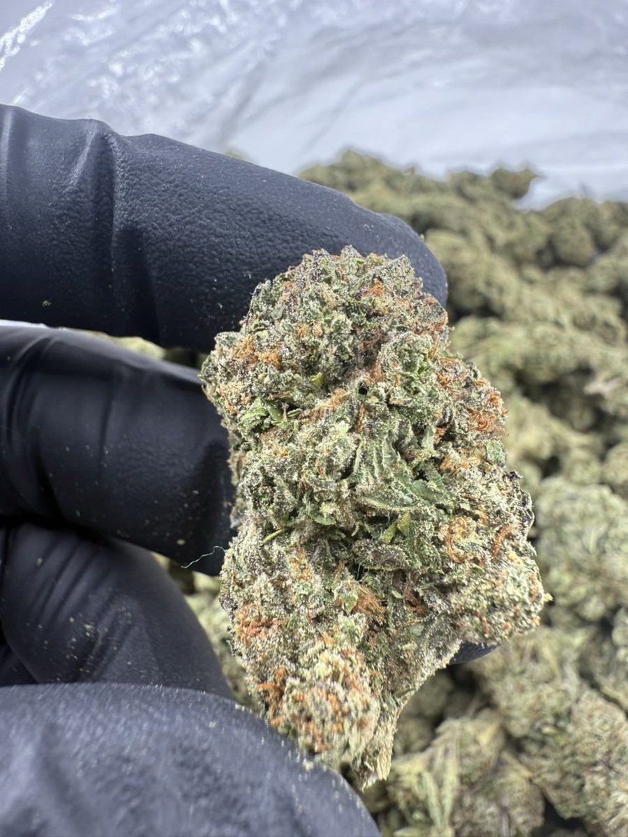 TheHighestah's tweet photo. WAP
1lb+$725
3lb+$675
5lb+$625
10lb+$575 https://t.co/v4RnZhkrIJ
