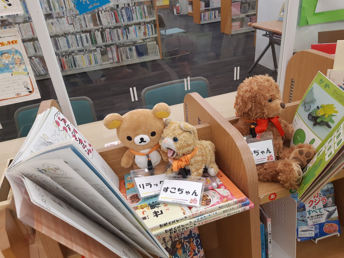 sendai_lib's tweet photo. 【#宮城野図書館 #ぬいぐるみおとまり会】
本をかりてかえろうっと、どれにしようかな？
まよっちゃう。
#仙台市図書館 #宮城野区中央市民センター #青空ミーティング https://t.co/dpZ44PB6ub
