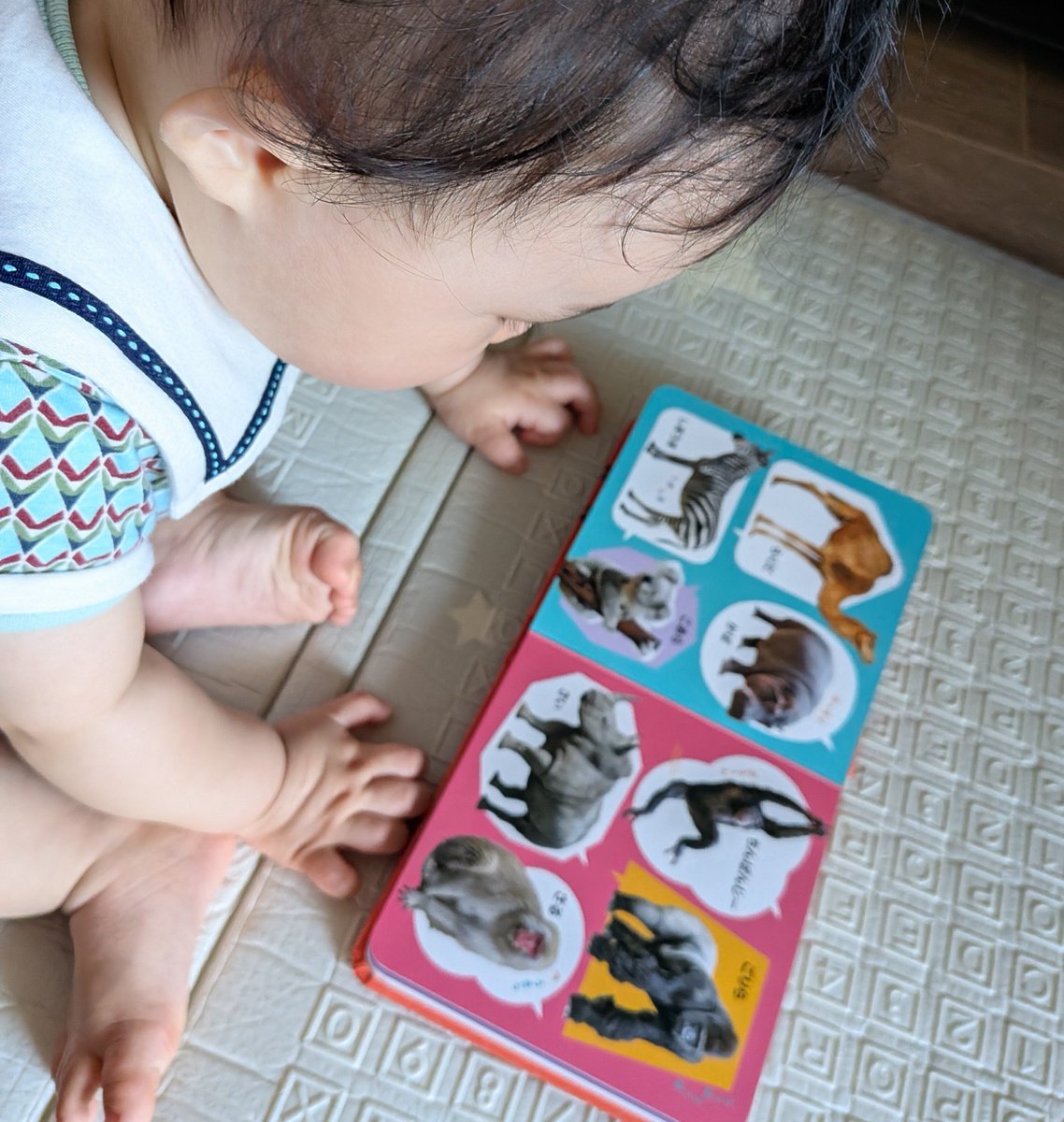 manaka_1018_00's tweet photo. 息子がこのページみて、ずっと「ぱっぱ…ぱっぱ…ぱぱ…」って言うから「パパいないよ」って答え続けてる https://t.co/Ut9FCr3hMO