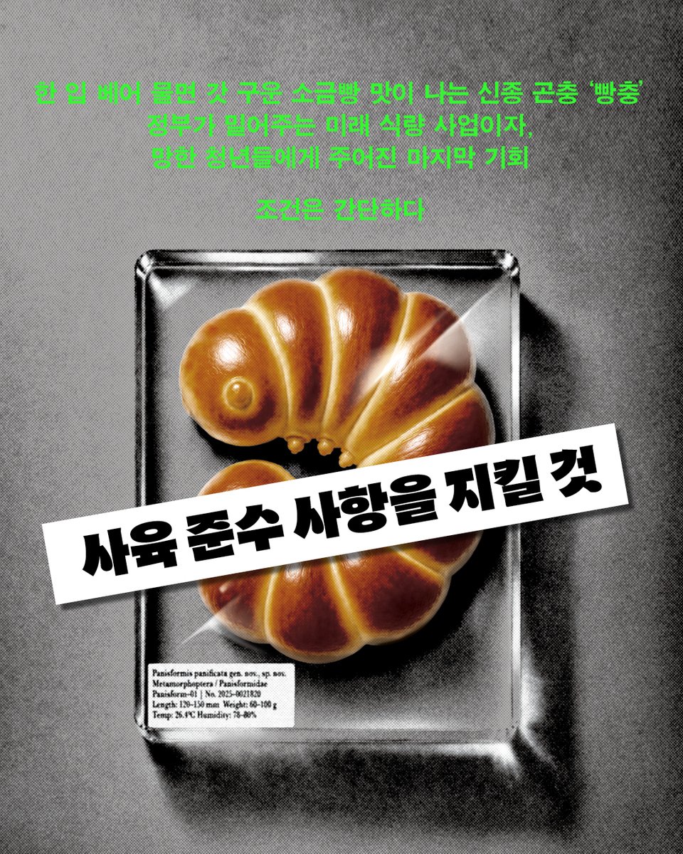 SafeHouse_kr's tweet photo. 빚 3억에 몰린 청년 농부 앞에
갓 구운 소금빵과 생김새도 맛도 똑같은
식용 곤충 '빵충'을 키우는
정부의 미래 식량 산업 지원 사업이 찾아왔다.

절박한 청년에게 
정부에서 내건 조건은 단 하나. 
빵충을 사육하는 데 필요한 준수 사항을 
잘 따르라는 것.

언제나 준수 사항은 깨지기 마련이고,
그때부터 청년에겐 
예측 불가능한 일이 벌어진다!

블랙코미디에서 스릴러를 거쳐
크리처 재난까지 거침없이 질주하는 소설
『빵충 사육 준수 사항』

지금 온·오프라인 서점에서 만나보세요👀