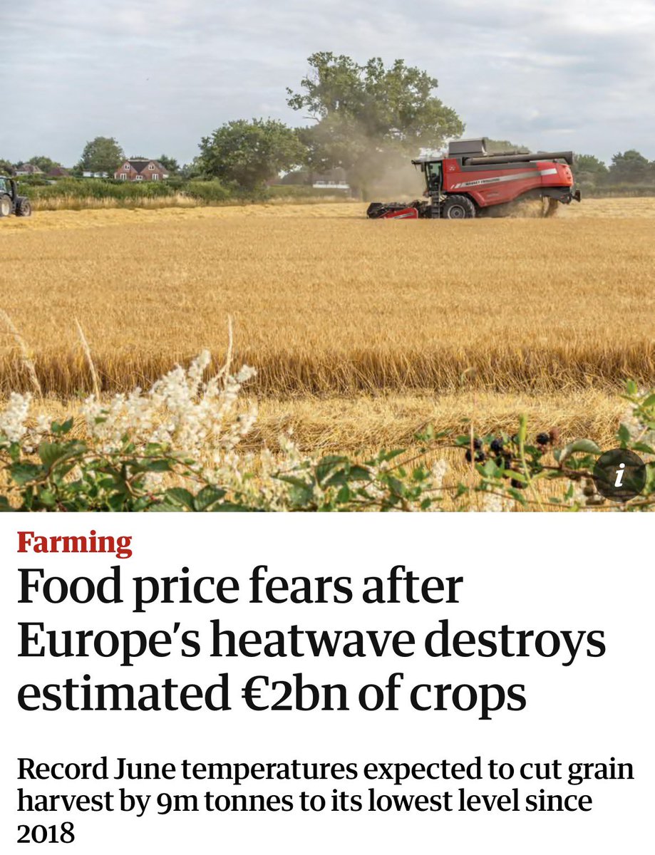 ClimateDad77's tweet photo. 9 million tonnes of food destroyed.

A ‘food price crisis’ becomes a ‘food shortage crisis’ becomes a ‘watching-your-family-starve crisis’. https://t.co/EK4f6A2A7w