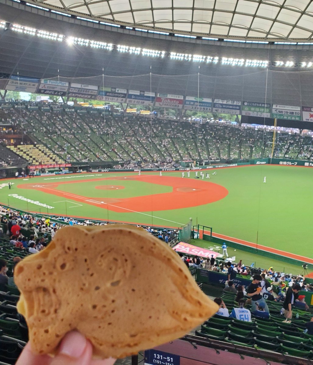 0808_gon's tweet photo. 暑すぎる☀️
らふごおり&amp;らふやき🦁 https://t.co/bCuATG8ovE