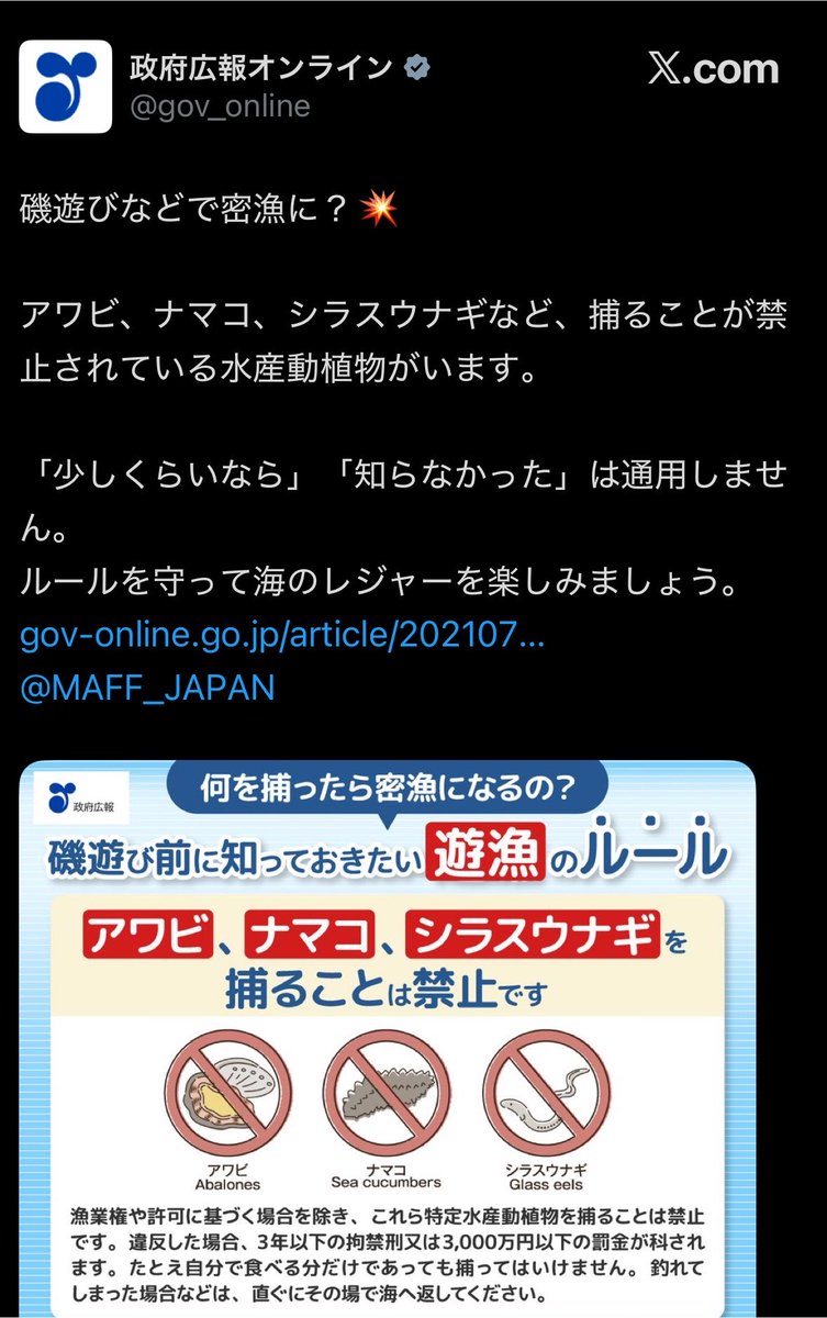 雇われ院長🟠反グローバリズム tweet media