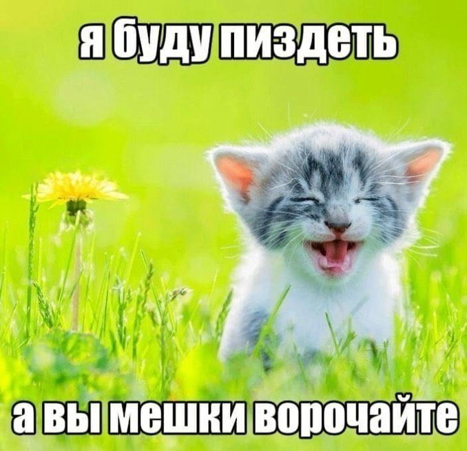 shkotobaza's tweet photo. https://t.co/g2dwWWsPqp