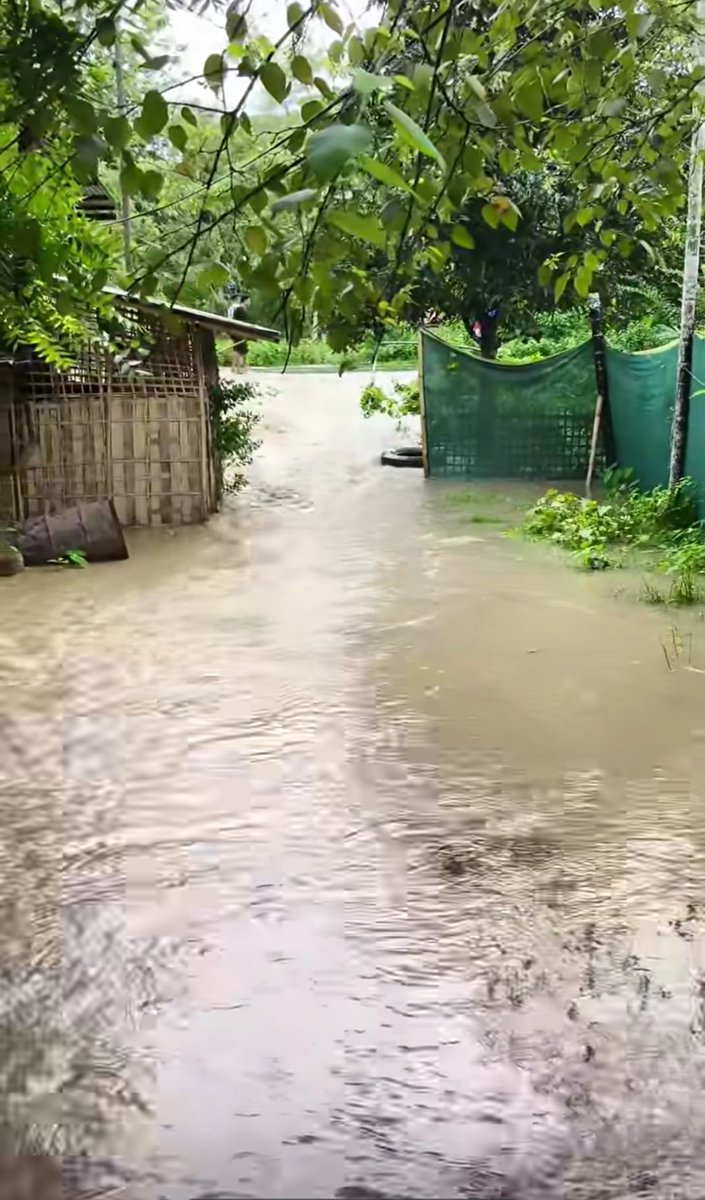 FanAasam's tweet photo. Pray for Assam 🙏🏻 https://t.co/PeHA7ZPUoR
