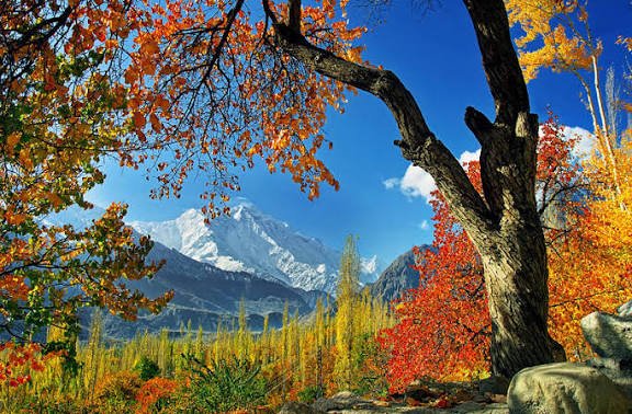 kumail_abb313's tweet photo. Gilgit Baltistan https://t.co/1pza73lZAg