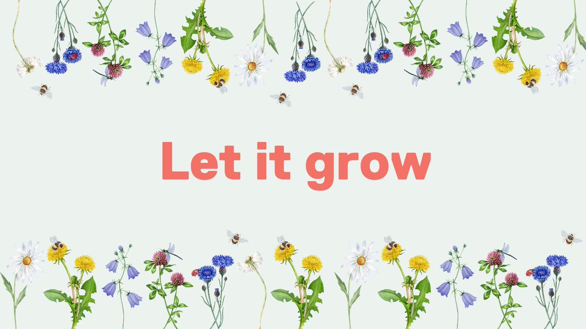 UoS_Students's tweet photo. Want to help local wildlife? Try not mowing your grass! You'll be shocked to see all the bees, butterflies, and animals enjoying your green space.

Found out more about let it grow on campus: https://t.co/p5CZUJ0Jp8 https://t.co/oLGWOZv54I