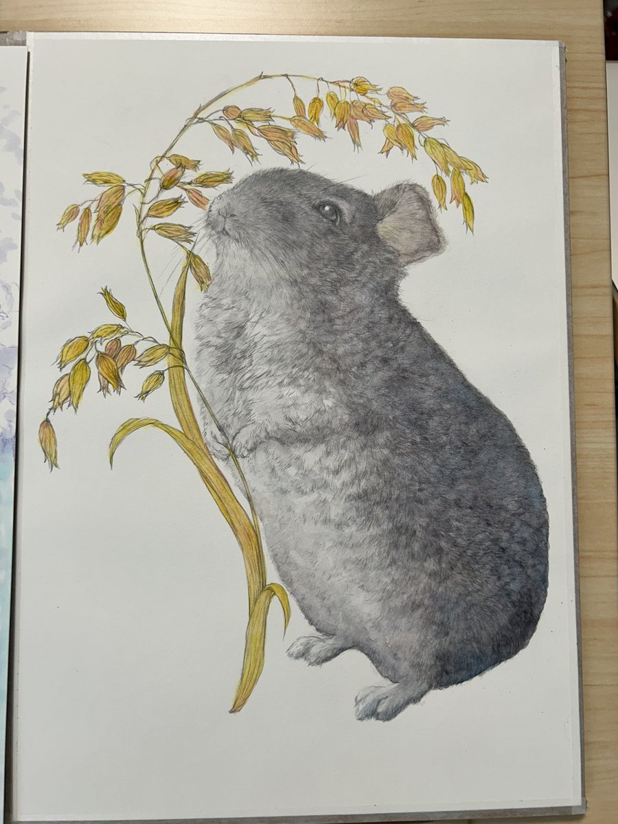 n_a_g_i_118's tweet photo. リビングのテーブルからレベルアップ🙌
斜めになる製図机😭見やすい描きやすい✨

旦那の買い物のオマケらしいけど、こんなドンピシャで素晴らしい物がくるとは感謝🙏 https://t.co/RQxcscqUGI