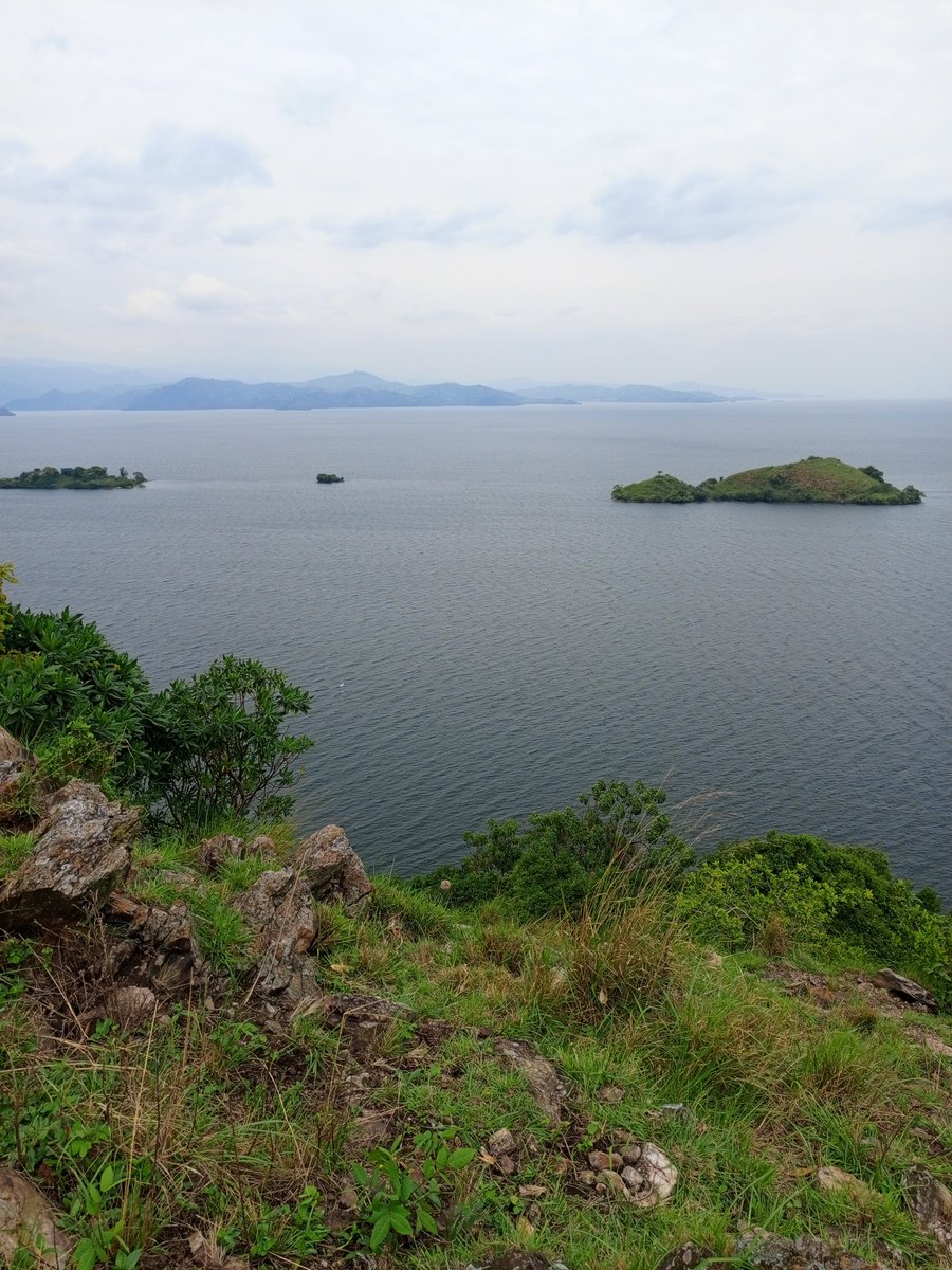 vazqueztourst's tweet photo. 🌊 Discover the beauty of Lake Kivu, unwind in the charming town of Karongi, and explore the iconic Napoleon Island, home to spectacular views and a unique fruit bat colony. 🚤🏝️

Experience Rwanda beyond the mountains with Vazquez Tours.

#VisitRwanda #LakeKivu #NapoleonIsland https://t.co/yme3en1NyM