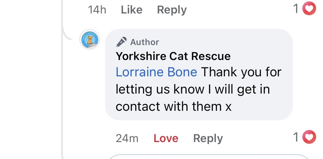 Lorraine Bone tweet media
