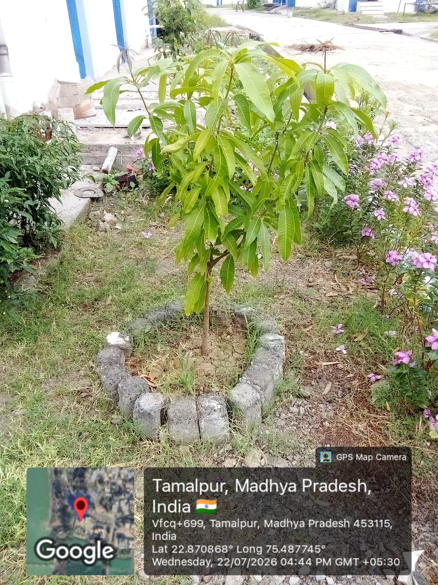 MPUDCL Bhopal tweet media