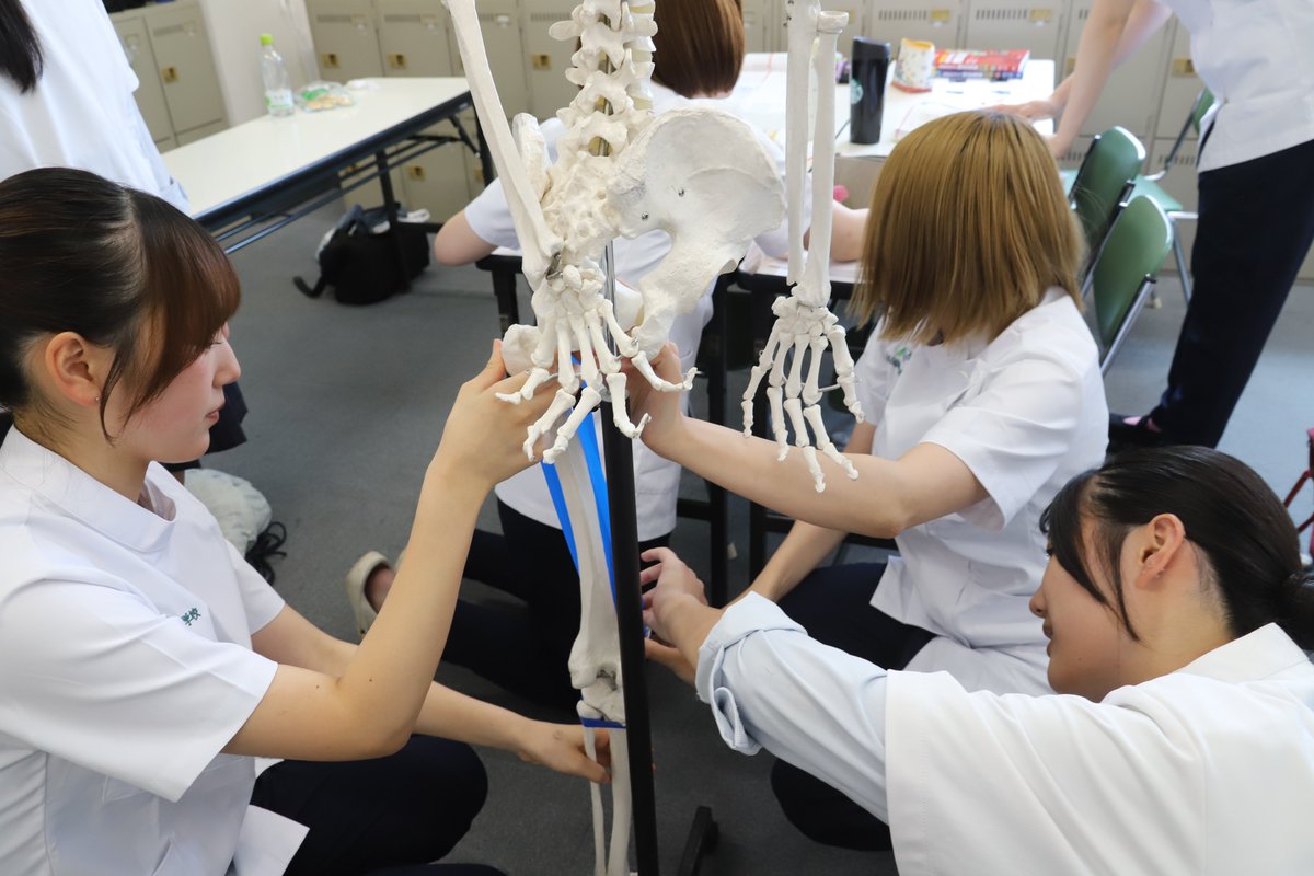 IWAD_senmon's tweet photo. #理学療法学科　#オープンキャンパス　#授業体験
今回は解剖学の授業に高校生がケーシー(実習着)を着用して参加しました

次回は　#作業療法学科　の授業体験が
7月30日(木)13：00～開催！！

ホームページからお申込みできます👇
https://t.co/mN51uAdFe0 https://t.co/1DeQgFCVst